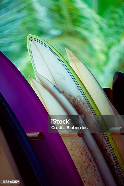 Surfboards — стоковые фотографии и другие картинки Береговая линия - Береговая линия, Большой, В ряд