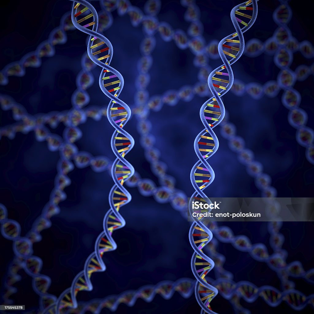 Il dna - Foto stock royalty-free di Biologia