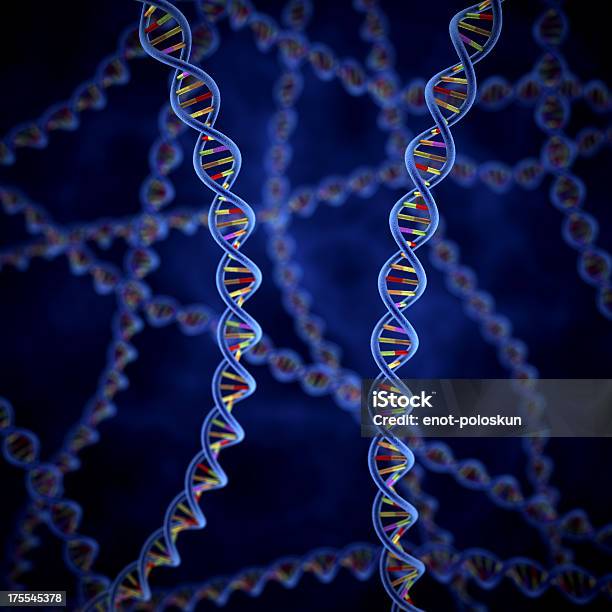 Il Dna - Fotografie stock e altre immagini di Biologia - Biologia, Biotecnologia, Blu