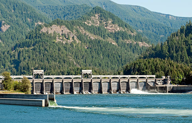 a energia hidroeléctrica produção de barragem de rio - oregon forest hydroelectric power columbia river imagens e fotografias de stock