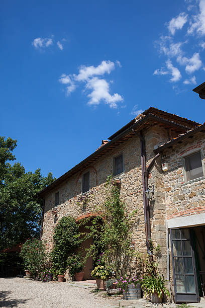istock Chianti Vineyard on Sunny Day, Italy 175545962