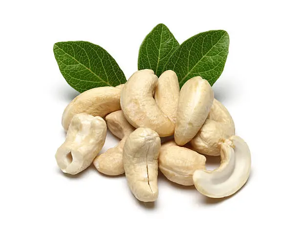 Cashew nuts and leaves isolated on a white background.