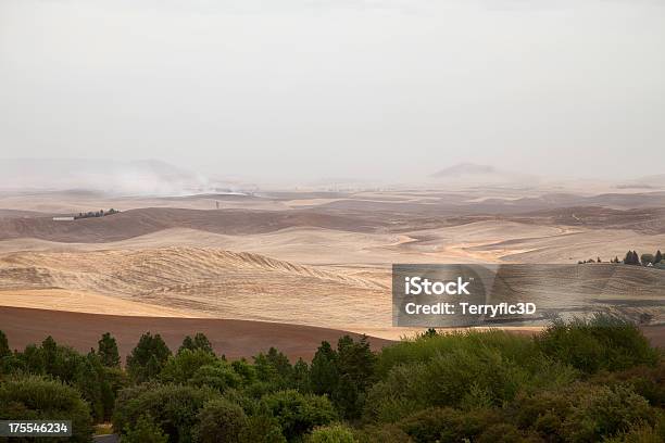 Truck Kicking Up Dust In The Palouse Stock Photo - Download Image Now - Agricultural Field, Agriculture, Brown