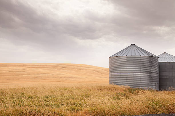 istock Palouse Silo and Harvested Wheat Field 175546258