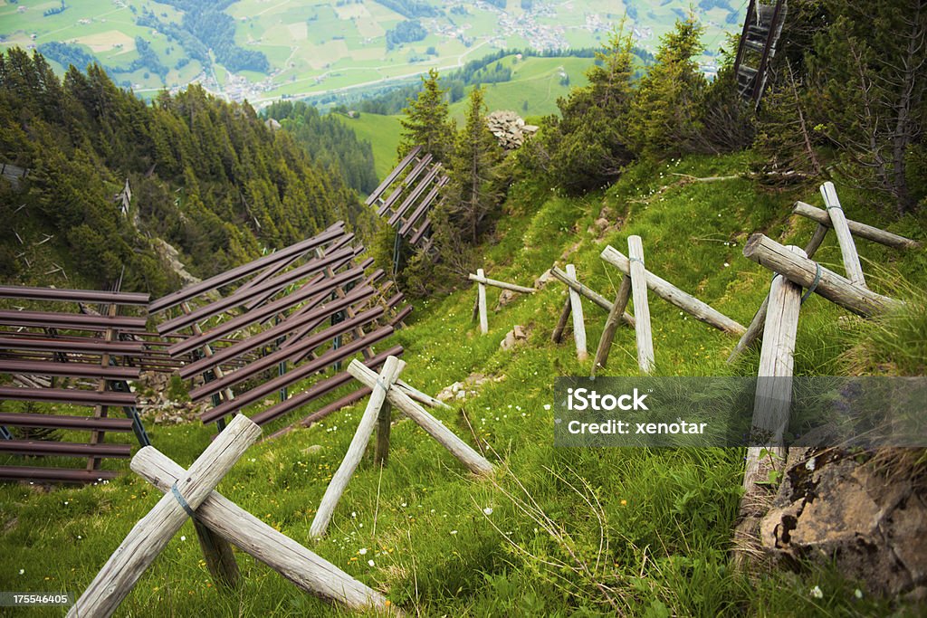 Barrière de Niesen mountain, Suisse - Photo de Arbre libre de droits