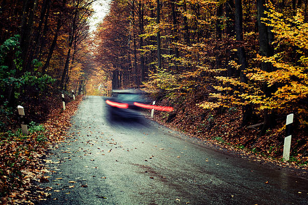 istock Car passes by on an autumnal forest road 175546632