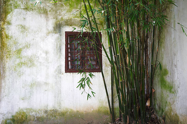 Chinese garden "bamboo in chinese garden. Suzhou, China" suzhou stock pictures, royalty-free photos & images