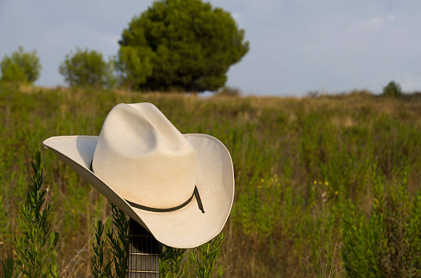 istock Cowboy hat and guitar 175546861