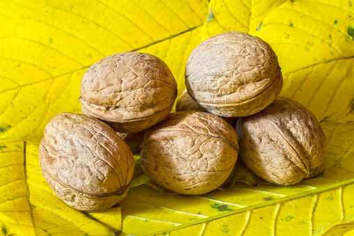 Natural walnuts on the background of yellow walnut leaves. Natural organic walnuts.
