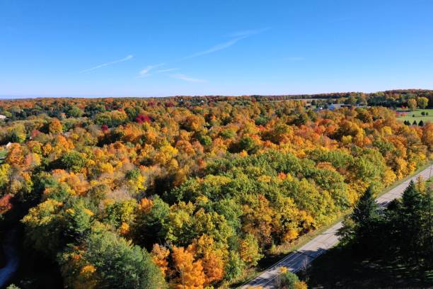 istock Fall color in holy hill Basilica, Hubertus, Wisconsin 1755484794