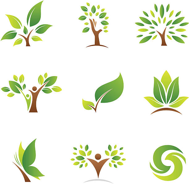 illustrazioni stock, clip art, cartoni animati e icone di tendenza di albero della vita loghi e icone - computer graphic leaf posing plant