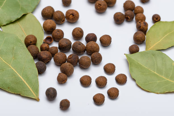 Bay leaves and allspice arranged on a white background Bay leaves and allspice arranged on a white background closeup allspice stock pictures, royalty-free photos & images