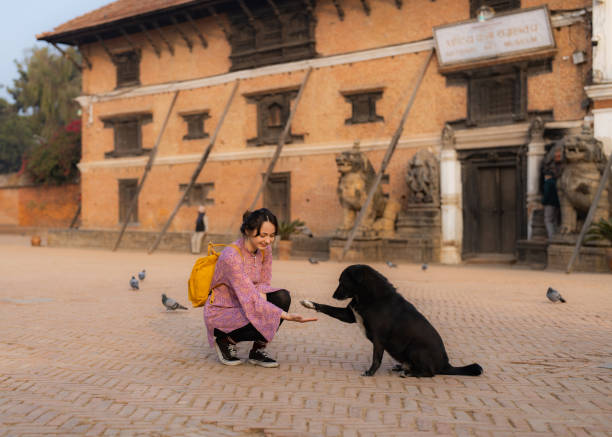 frau interagiert mit hund auf dem bhaktapur durbar platz in kathmandu - chinese temple dog stock-fotos und bilder