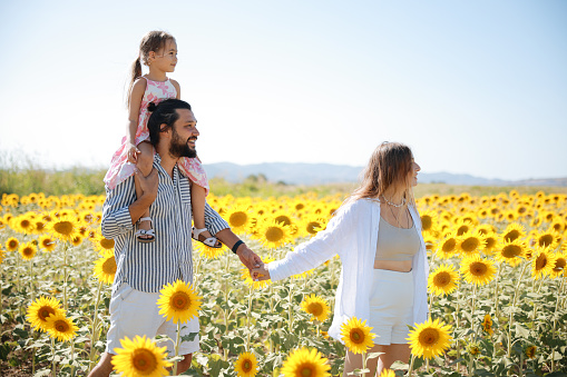 Happy family having fun in the field of sunflowers. Mother holding her daughter and sunflower in hand. The concept of summer holiday. Mother's, father's, baby's day. Family spending time together