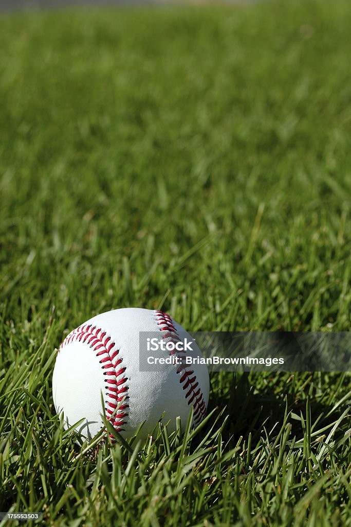 Baseball A new baseball laying in the grass Baseball - Ball Stock Photo