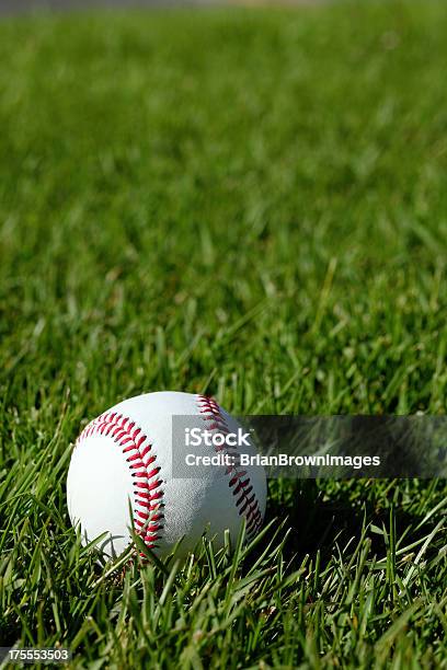 Baseball Stock Photo - Download Image Now - Baseball - Ball, Backgrounds, Vertical