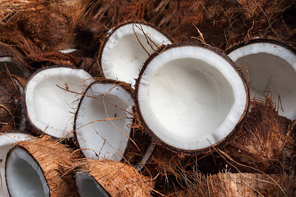 신선한 코코넛 - 코코넛 뉴스 사진 이미지