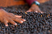 Coffee beans, natural honey process Chiriqui highlands, Panama - stock photo