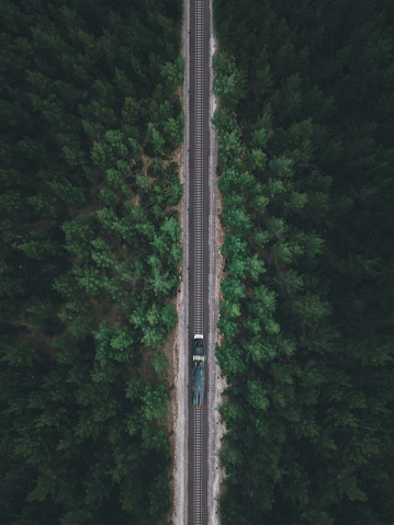 Aerial view of the locomotive traveling on the railway through the forest in autumn, shot by drone with motion blur