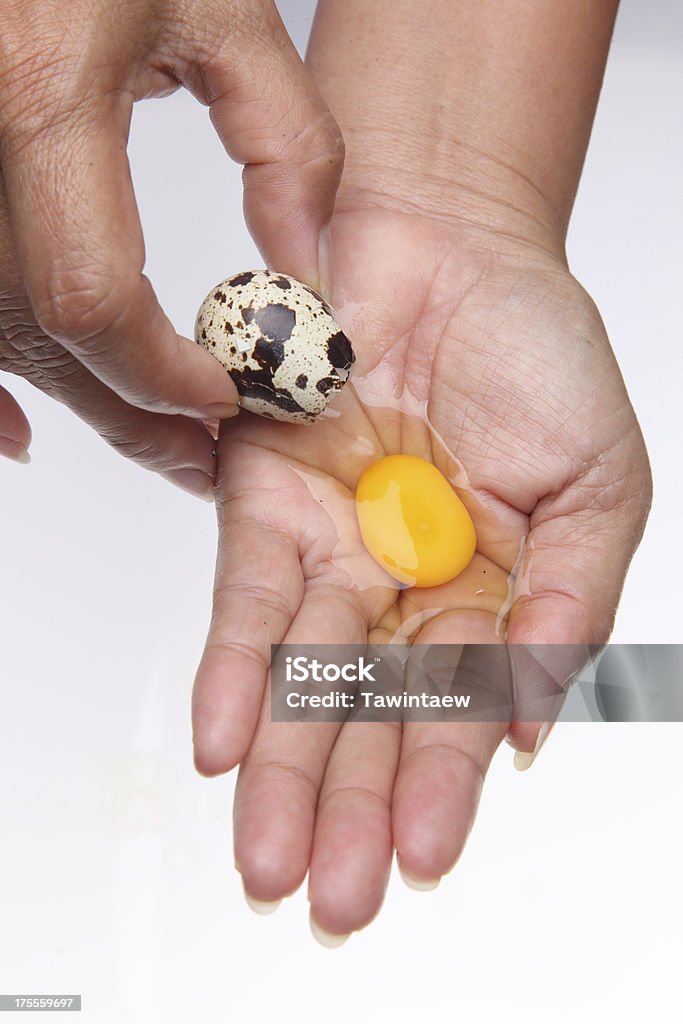 Oeuf de caille cassé à la main - Photo de Aliment libre de droits