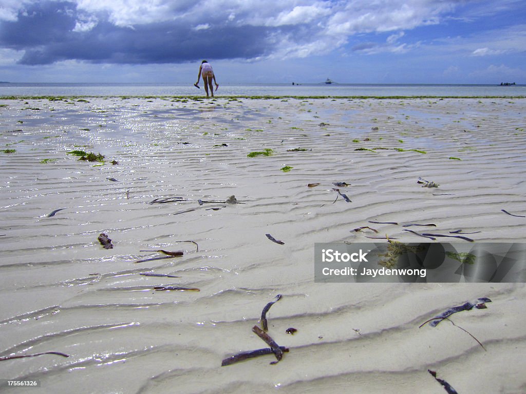 Garota tocando na maré baixa de Bohol Beach - Foto de stock de Adulto royalty-free