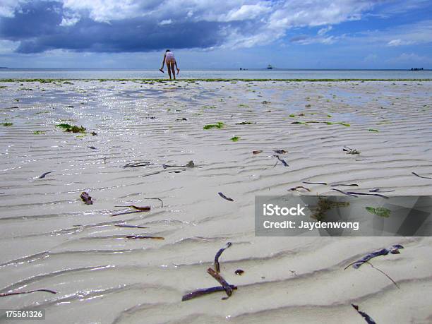 Foto de Garota Tocando Na Maré Baixa De Bohol Beach e mais fotos de stock de Adulto - Adulto, Alga marinha, Areia