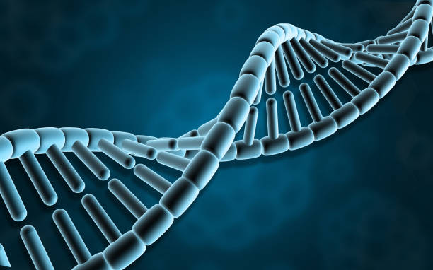 istock DNA strand on blue color scientific background 1755616441