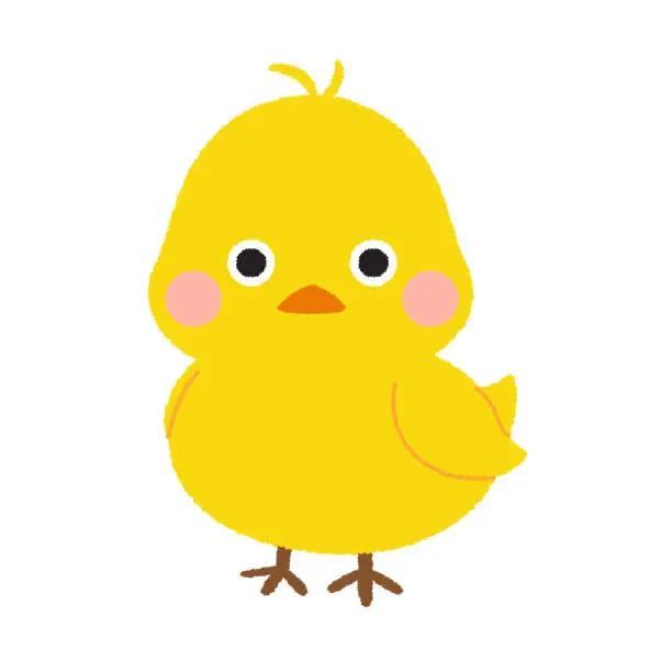 Vector illustration of Chick