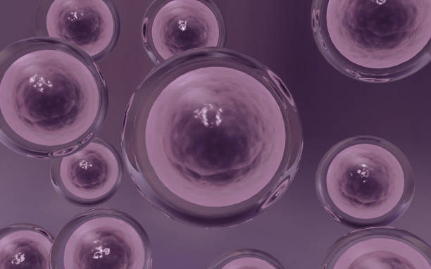 istock Human cells anatomy 1755622756