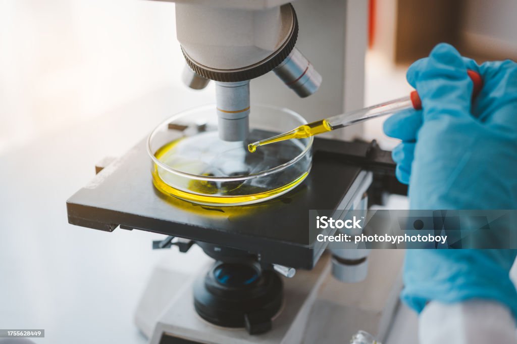 Female researchers are experimenting with pipette dropping a sample into a test tube in an experiment research in laboratory.. Adolescence Stock Photo