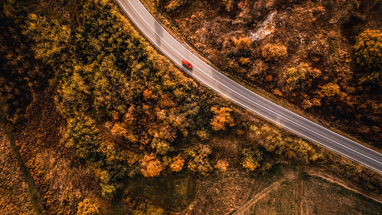High angle view of a road through an autumn