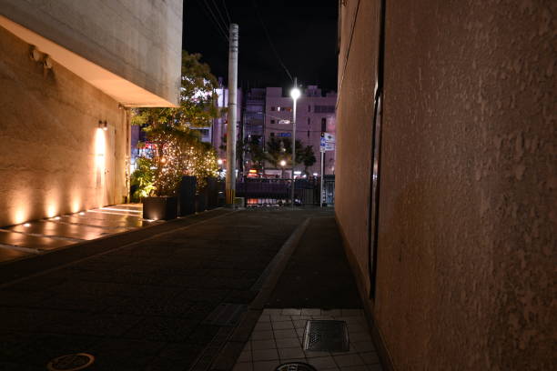 istock Fukuoka Hakata Nakasu night landscapes 1755632524
