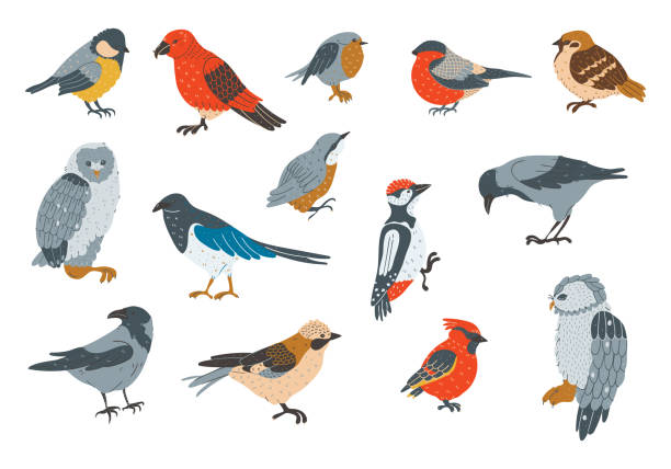 istock Wintering birds animal pet wildlife 1755635000