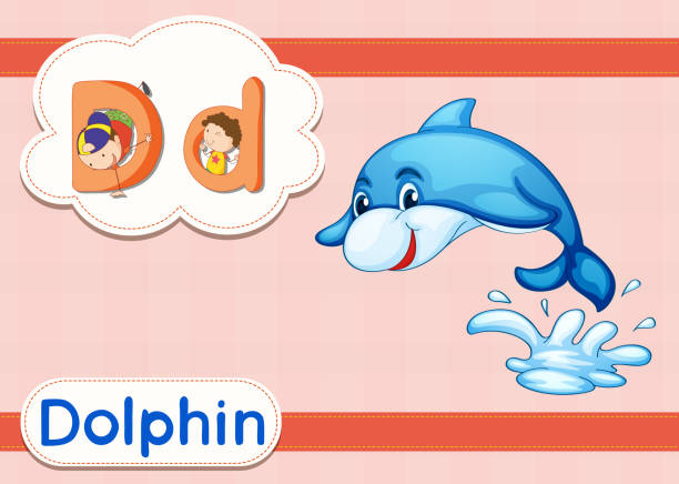 100+ Animal Alphabet Letter D For Dolphin Stock Photos, Pictures ...