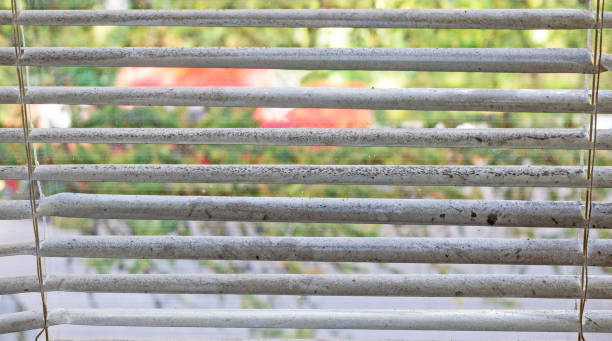 istock Window with heavily soiled blinds. Time for a thorough cleaning. 1755636167