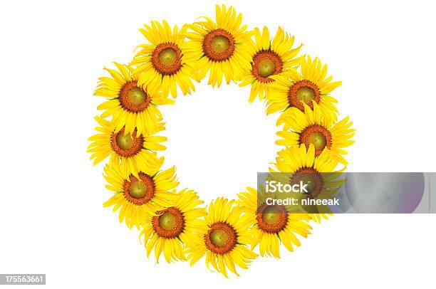 Photo libre de droit de Alphabet De Tournesol banque d'images et plus d'images libres de droit de Apprentissage - Apprentissage, Beauté de la nature, Biologie