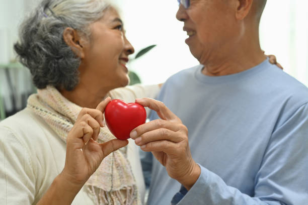 coppia di anziani felici che tengono una forma di cuore rosso come assistenza sanitaria, amore e assicurazione di simbolo - human heart care heart shape stethoscope foto e immagini stock