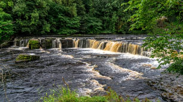 istock there is a waterfall in the woods by the water's edge 1755649004