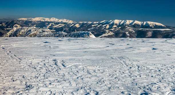 tatry niskie od płoskiej w wielkiej fatrze na słowacji - chopok zdjęcia i obrazy z banku zdjęć