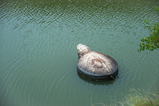An ancient stone carved turtle in the lake at Dongpo Red Cliff, Hubei, China.