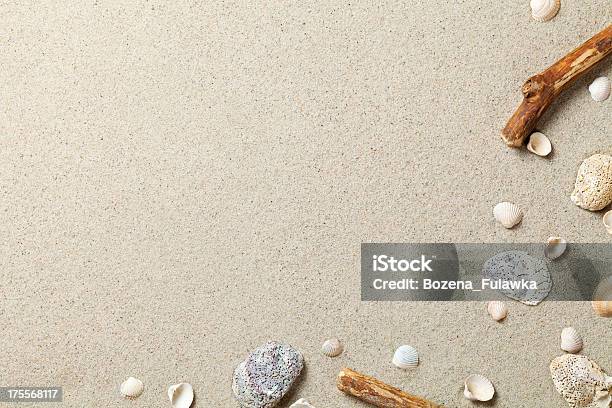 Sand Background Stock Photo - Download Image Now - Animal Shell, Backgrounds, Beach