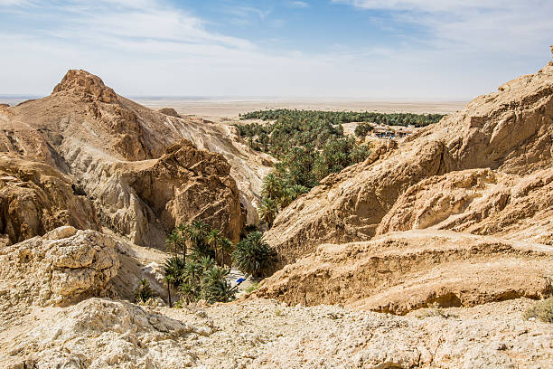 istock mountain oasis Chebika in Sahara desert, Tunisia 175568750