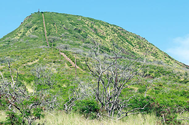 World War 2-era incline railway now converted to stairs for climbing to the top of Koko Head crater on island of Oahu HI