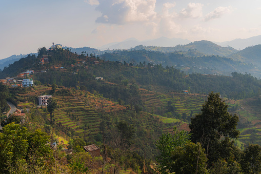 Cultivated  green lands on the foothill of Himalaya mountains in Nepal