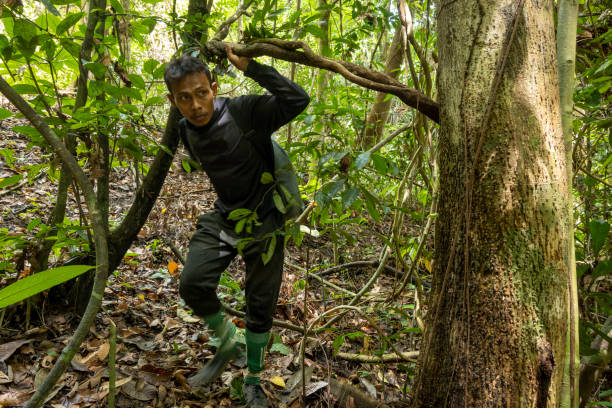 istock Man Walking in the Forest - Stock Photo 1755706112