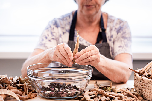 Senior Woman at the Kitchen Table Peeling Dry Kidney Beans from Pods