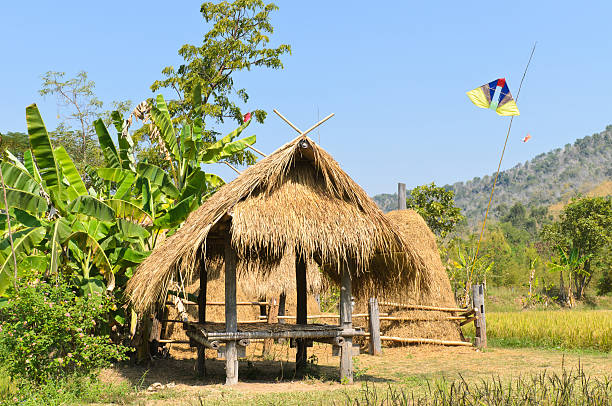 istock Thai style wooden hut 175571169