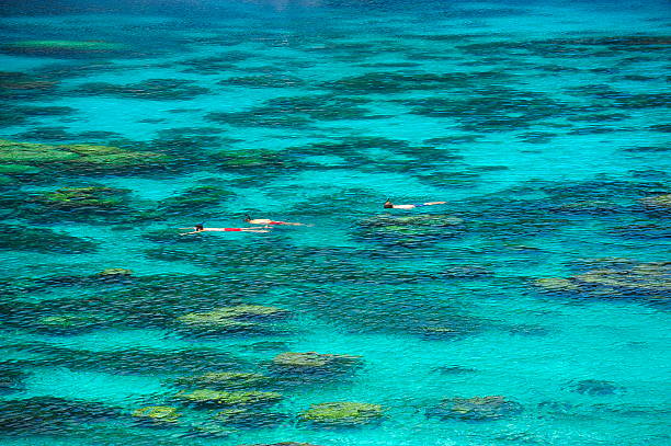 istock High view of dive in blue sea 175572144