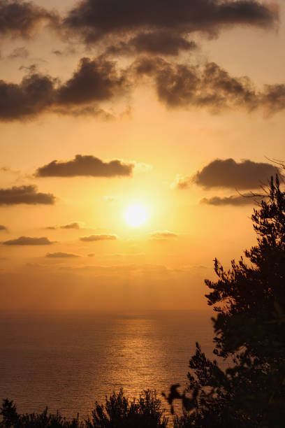 istock Golden sunset over tranquil ocean with clouds, trees, and shimmering reflections 1755729089