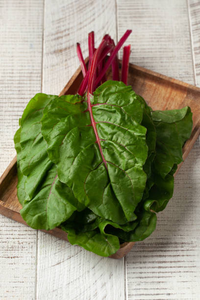 istock Fresh beetroot foliage on a white wooden background. Vegetables, harvesting 1755736656